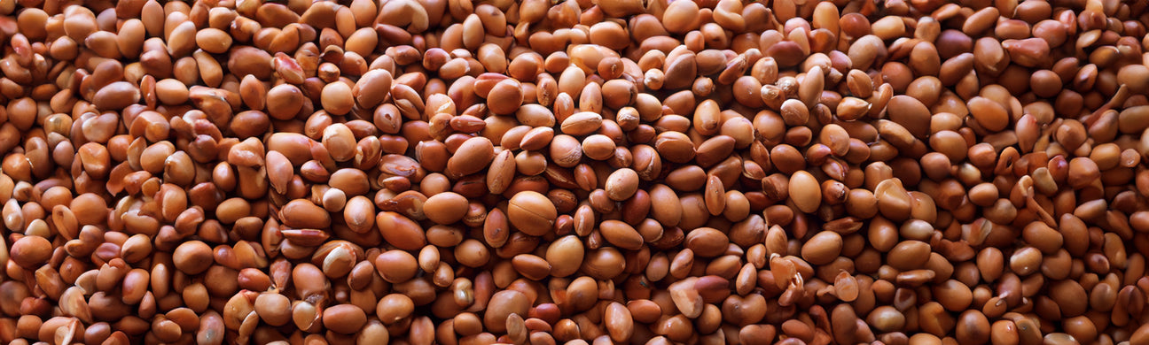 Argan Oil